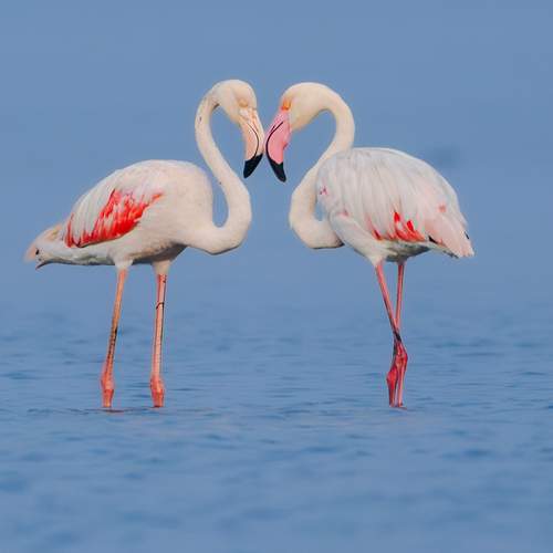 Photo #13290004