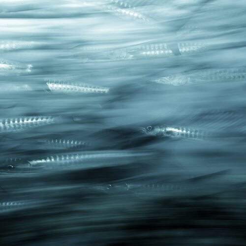 Стальной поток