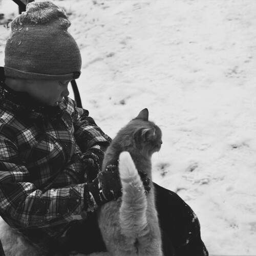 Photo #13290041