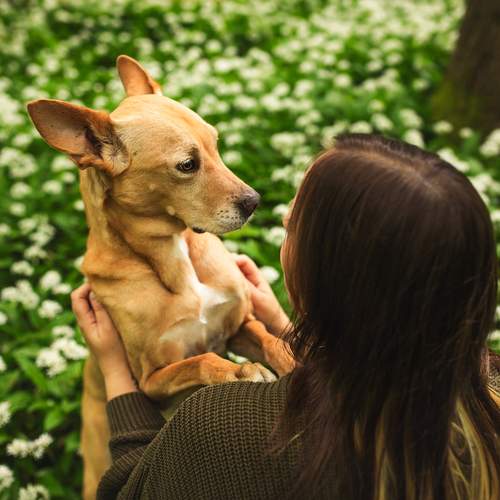 Photo #13290045