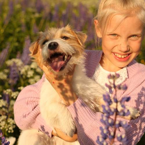 Photo #13290058