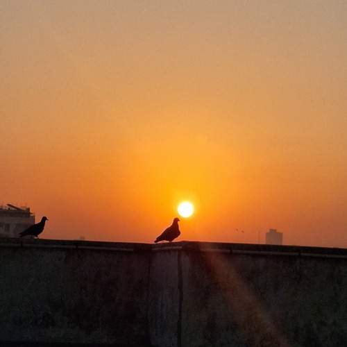 Photo #13290077