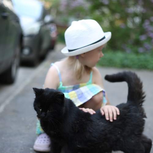 Photo #13290079