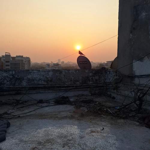 Photo #13290084