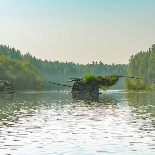 Photo #13290087