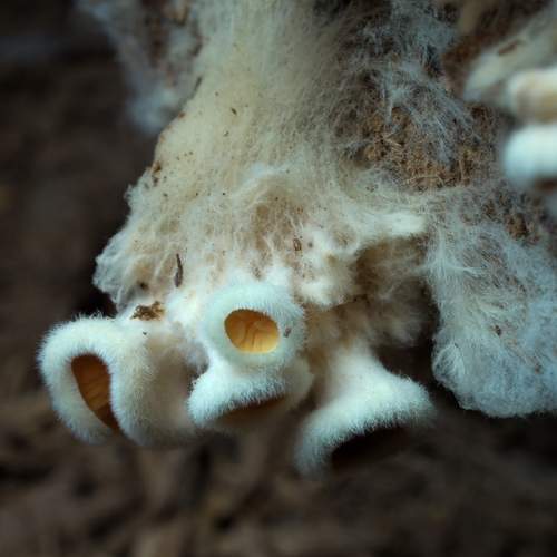 Photo #13290194