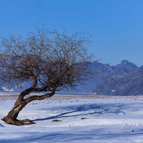 Photo #13290278