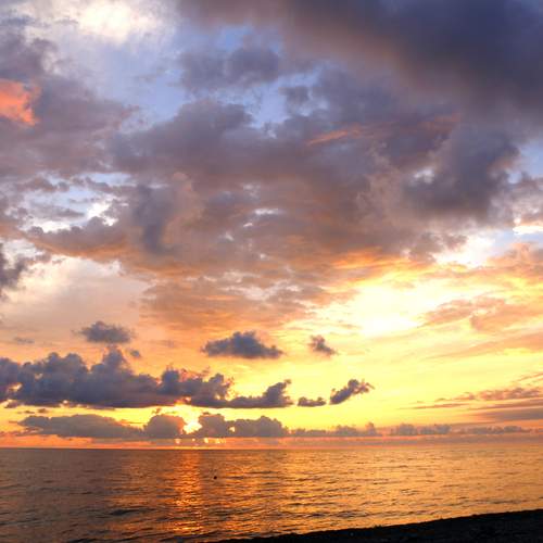 Photo #13290284