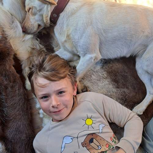 Photo #13290351