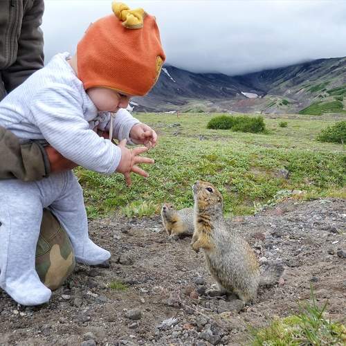Photo #13290356