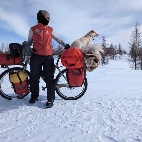 Photo #13290358