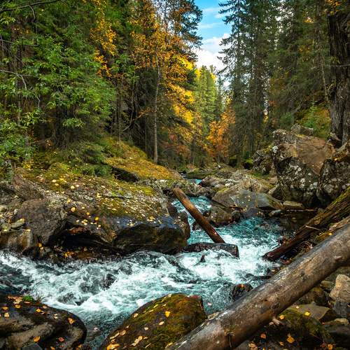 Photo #13290630