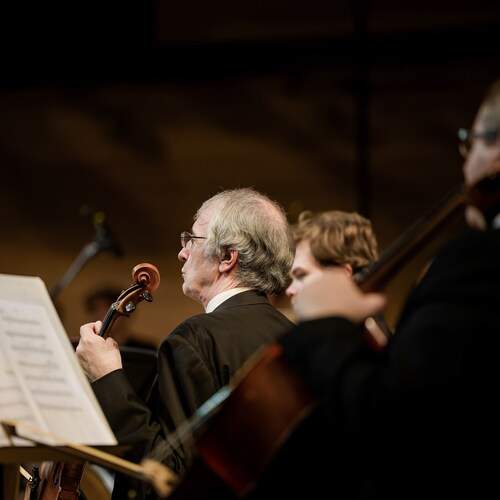 Фотография #13290636