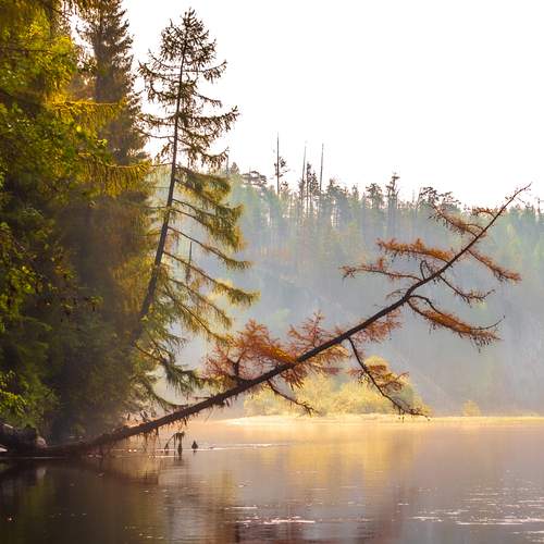 Photo #13290654
