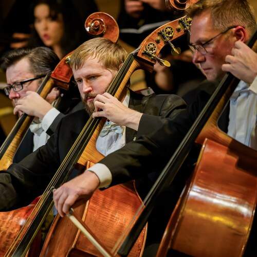 Фотография #13290688