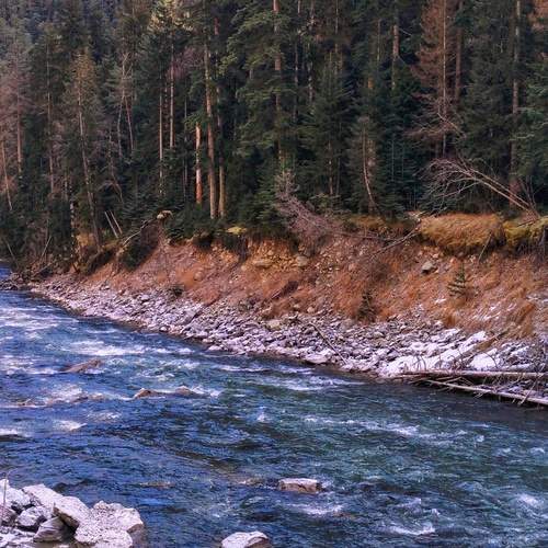 Photo #13290748