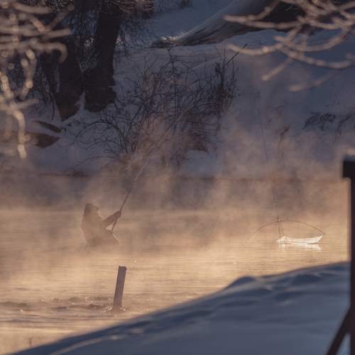Photo #13290929