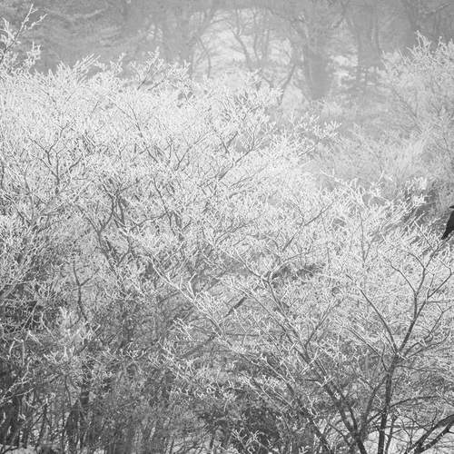 Photo #13291159