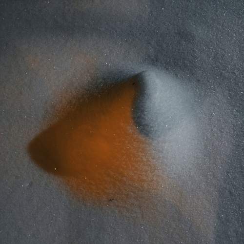 Photo #13291172