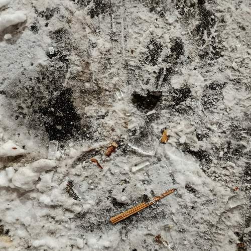 Photo #13291175