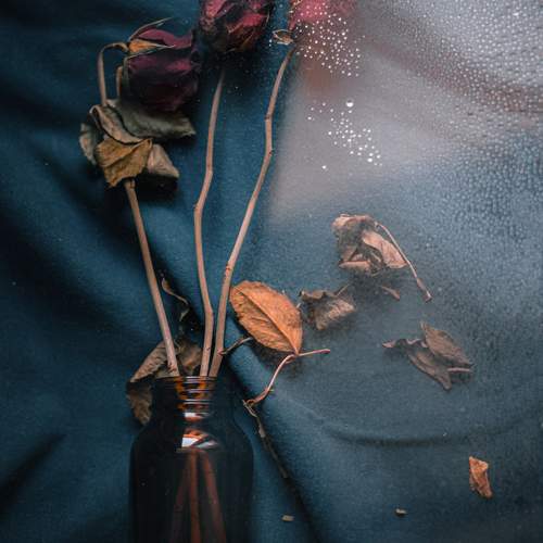 Photo #13291189
