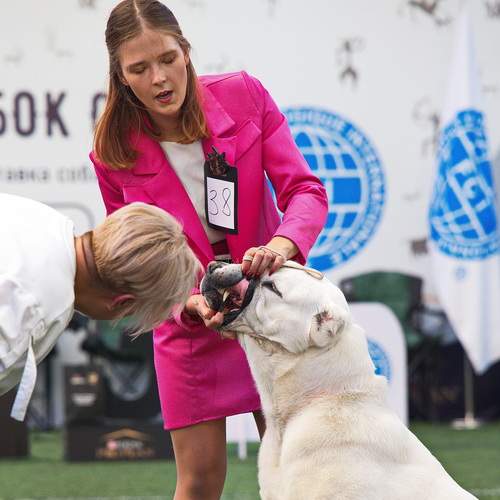 Держать дистанцию