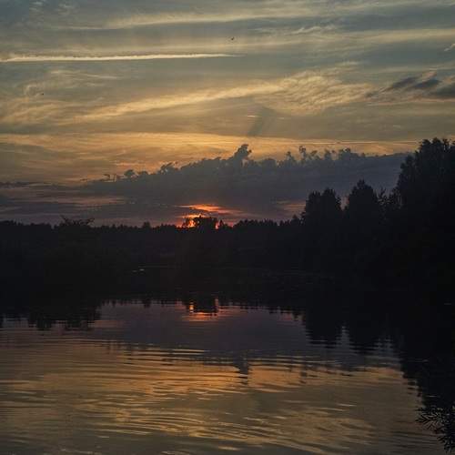 Photo #13291402