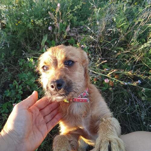 Photo #13291464