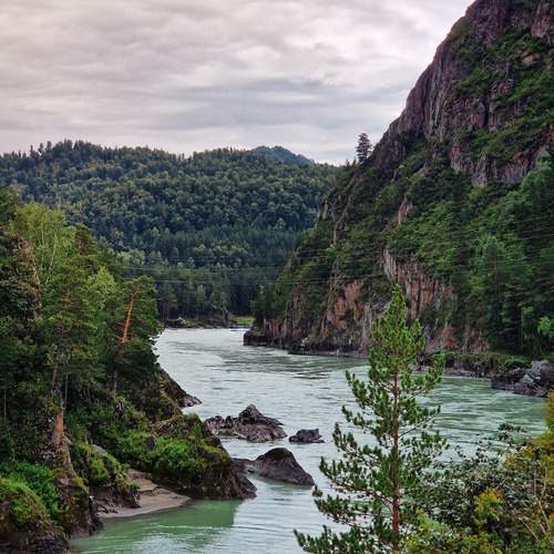 Фотография #13291493