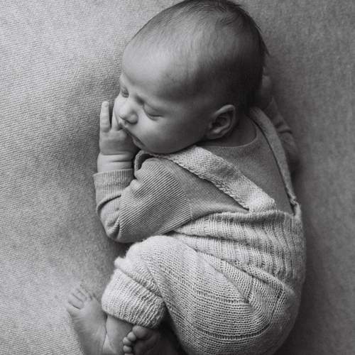 Photo #13291497
