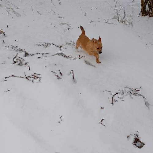 Photo #13291532