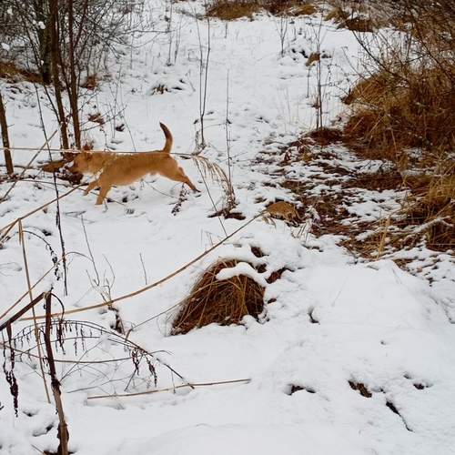 Photo #13291535