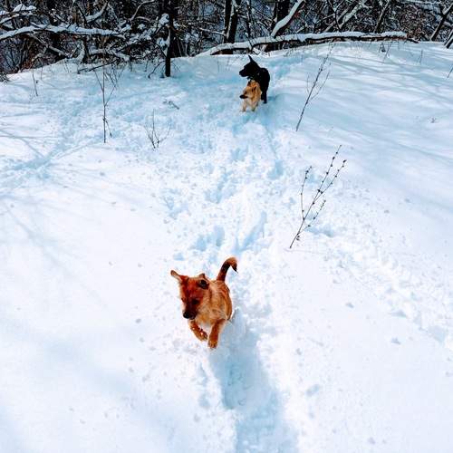 Photo #13291536
