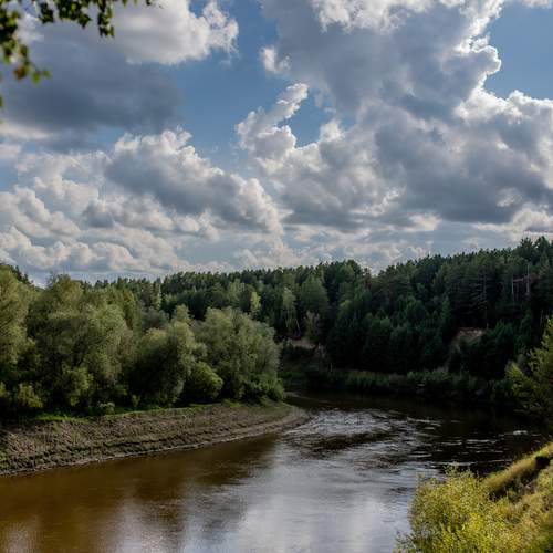 Photo #13291642