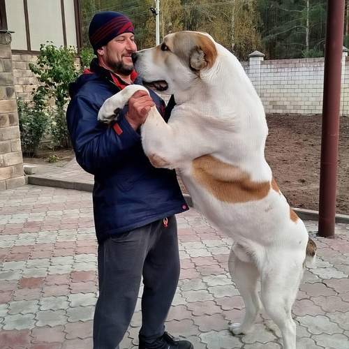 Photo #13291690