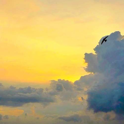 Photo #13291693