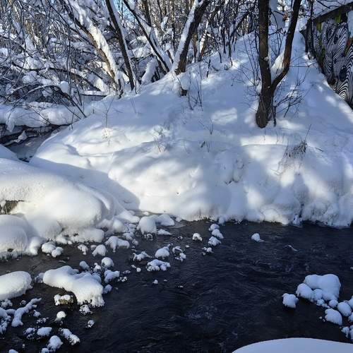 Photo #13291887