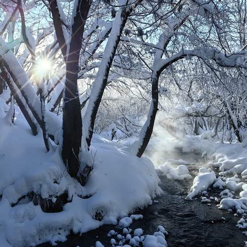 Photo #13291890