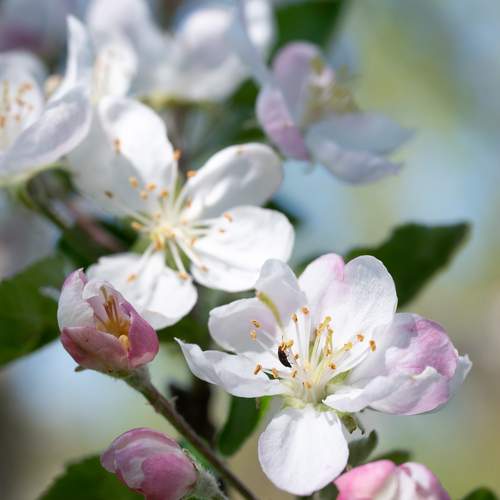 Photo #13291905