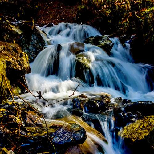 Photo #13292176
