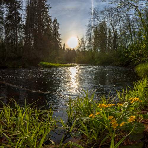 Photo #13292222