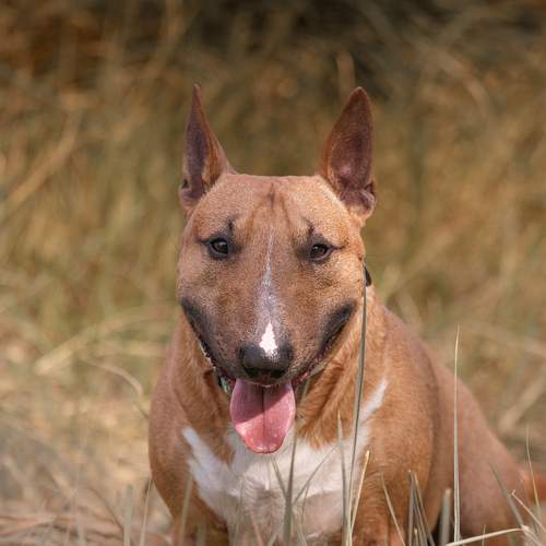 Photo #13292281