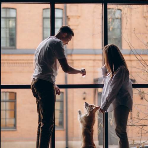 Фотография #13292293