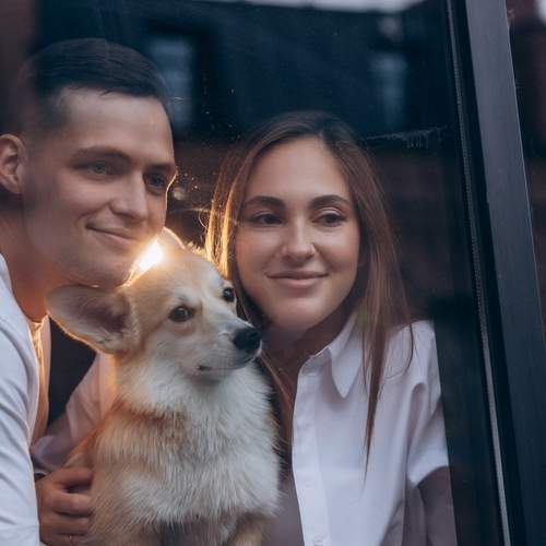 Фотография #13292298