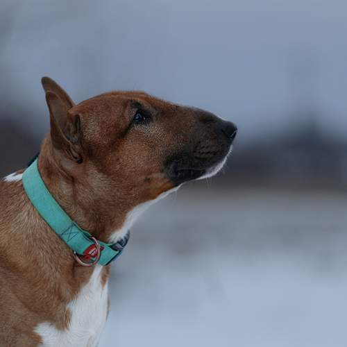 Photo #13292314