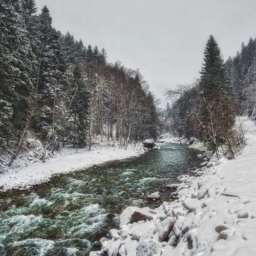 На зимней Лабе