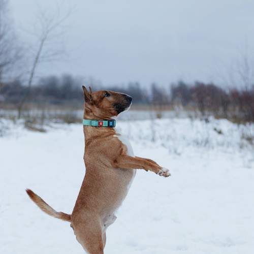 Photo #13292321