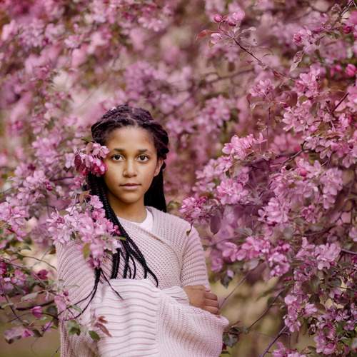 Photo #13292349
