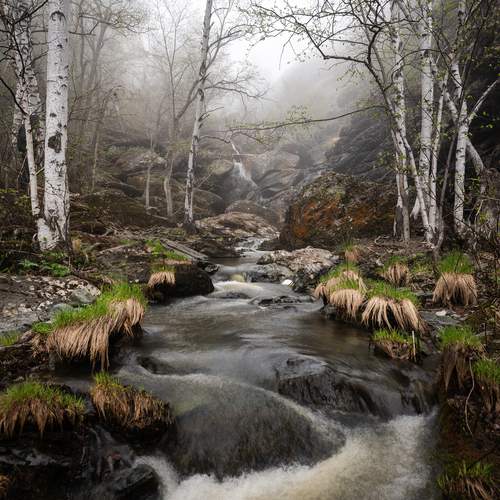Photo #13292385