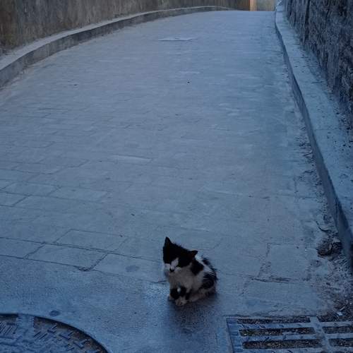 Photo #13292506